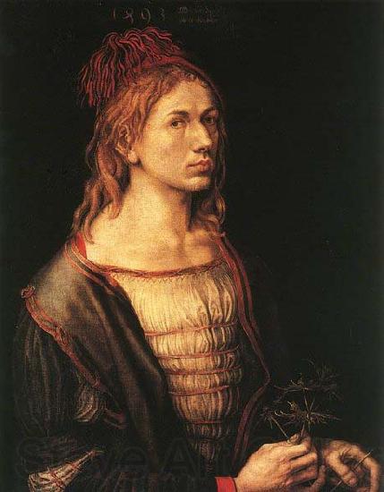 Albrecht Durer Self-portrait at 22 Spain oil painting art